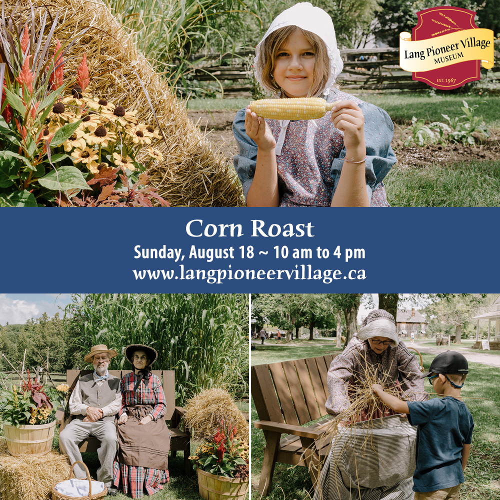 Corn Roast Lang Pioneer Village Lang Pioneer Village
